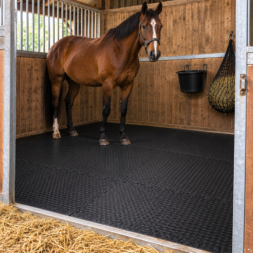Interlocking eva stable mats - eva,