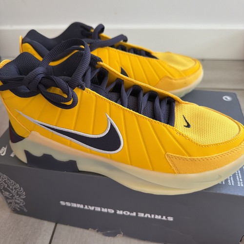 Lebron witness basketball - 9,