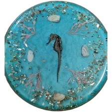 Vtg Retro Acrylic Trivet Beach Motif Natural Dried Seahorse Rare Real Seahorse