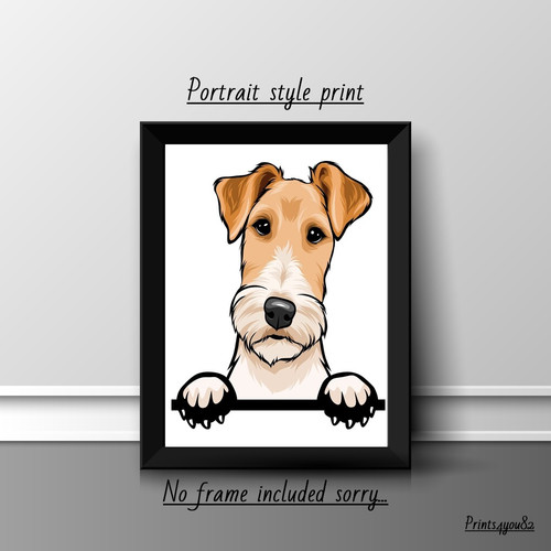Wire fox terrier picture - wire,