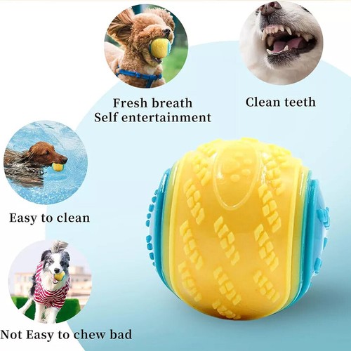 Scooby doo durable squeaky set - durable,