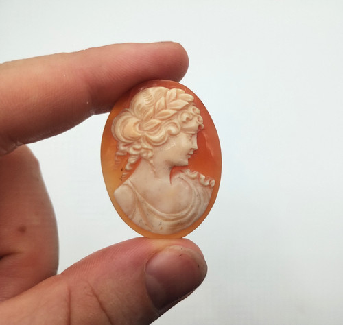 Antique loose unmounted shell - unmounted,