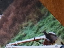 Deben 4 Tonner Gaff  For Sail