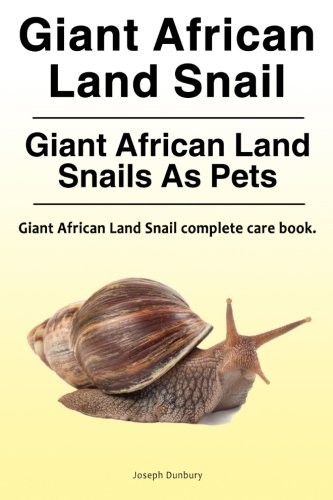 Giant african land - land, snail