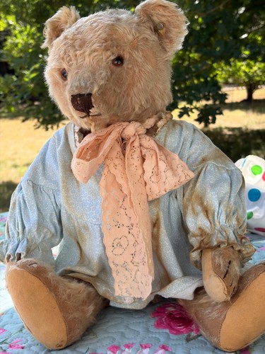 Steiff bear circ 1950 with - steiff,