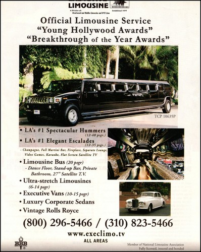 1979 executive limousine - 1979,