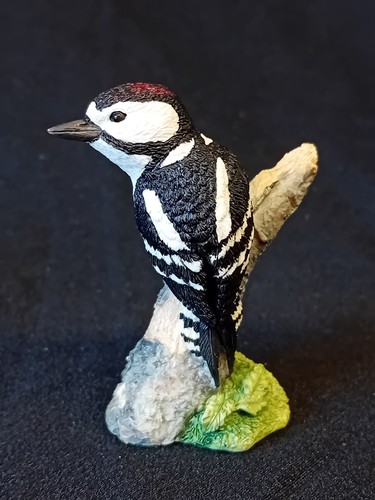 Border fine arts - border,