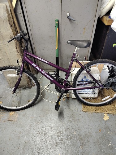 Raleigh max orge - raleigh,