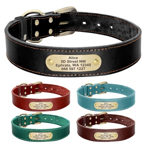 Personalised pet dog collar - pet,