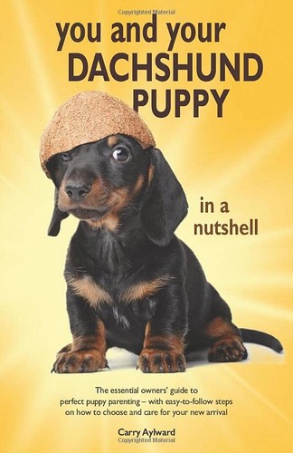 You and your dachshund puppy - you,