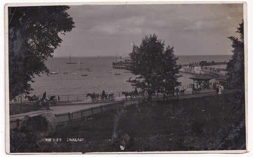 The pier swanage dorset - swanage, horse