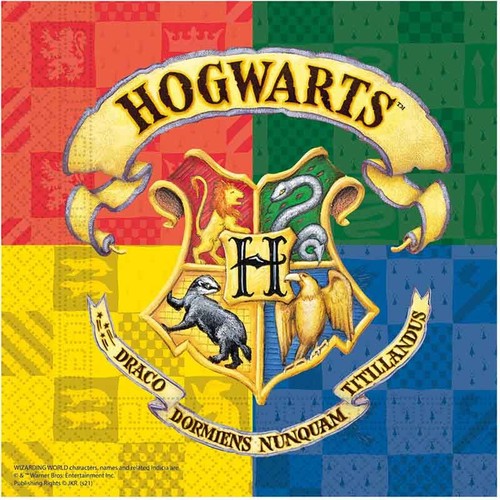 Harry potter party napkins - potter,