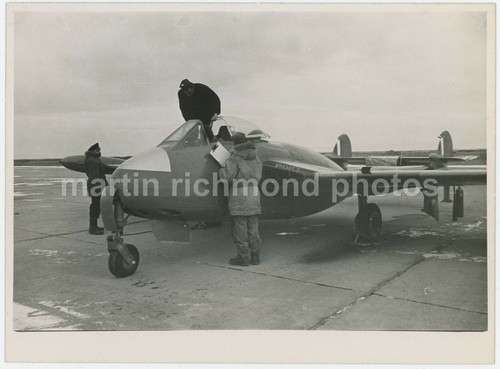 Havilland venom large - venom,