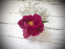8 Antique Bottles : Mini Paste Jars : Suitable Vases For Wedding Table Dressing
