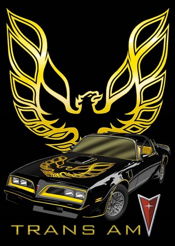 1978 pontiac firebird - 1978,