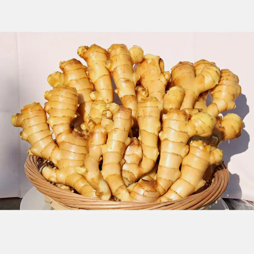 Fresh organic ginger - organic, roots