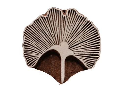 Ginkgo leaf wooden stamp - wooden, 5.5