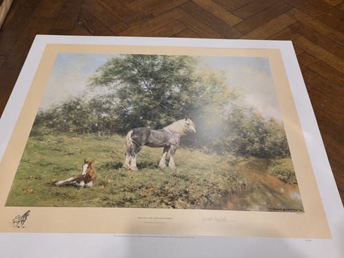 David shepherd signed ltd - david,