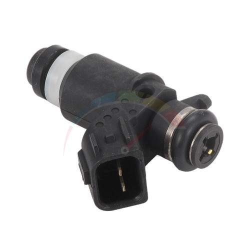 Fuel injector for - fuel,
