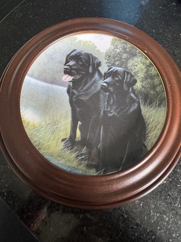 Franklin mint black labrador - franklin,