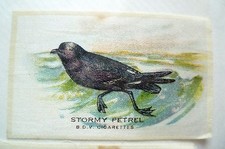 B.D.V. Cigarettes Silk (Bird Silk)- BIRD STORMY PETREL Original Printed Silk 