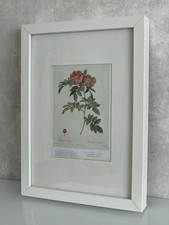 * IKEA RIBBA * 33 x 24 cm WHITE PICTURE FRAME AND VINTAGE ROSE PRINT WALL ART
