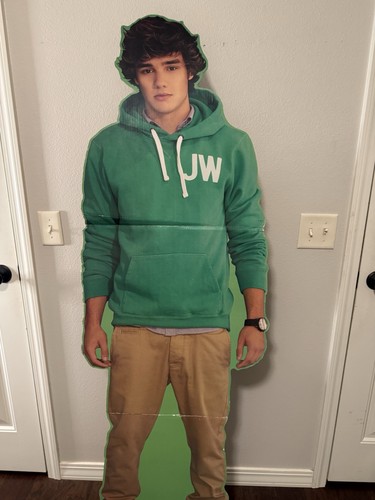 Liam payne standup cardboard - liam,
