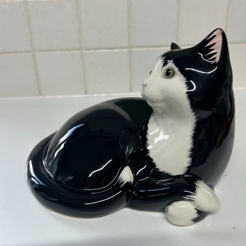 Just cats co staffordshire - &,
