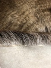 REINDEER AND SHEEPSKIN  PART