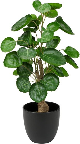 Hollyone 45cm artificial plant - 45cm,