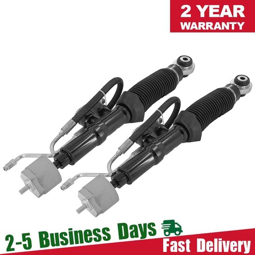 Rear hydraulic shock - 2x,