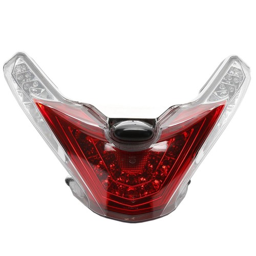 Tail light assembly for sinnis - assembly,