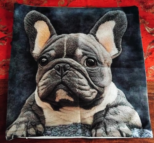 French bulldog large cushion - large,