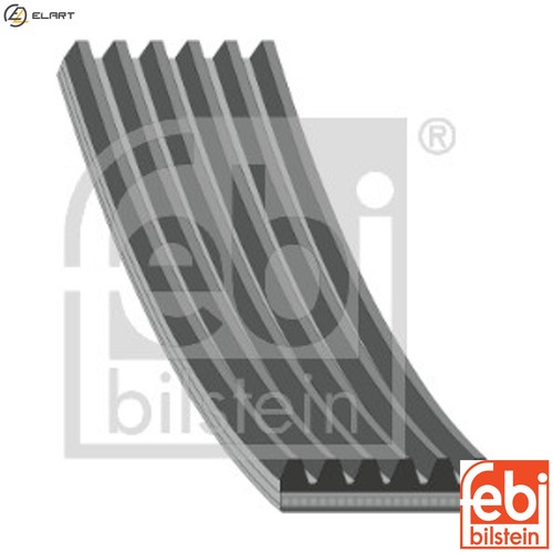 Vribbed belt 28955 for - vribbed,