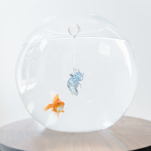 Aquarium layout prop - aquarium,