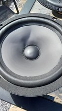 AR18 BX woofer in need of care
