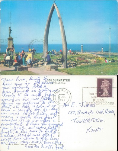 Whale bone arch whitby - bone,