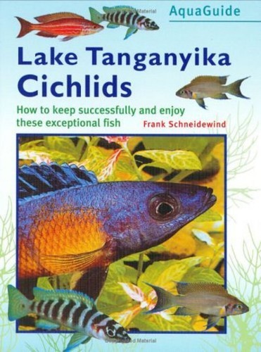Tanganyika cichlids unknown - cichlids:,