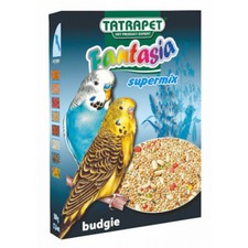 Bird Budgie / Parakeet / Small