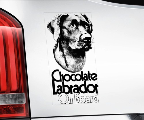 Chocolate labrador car - chocolate,