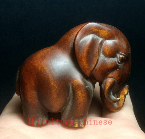 Inch old chinese boxwood - old,