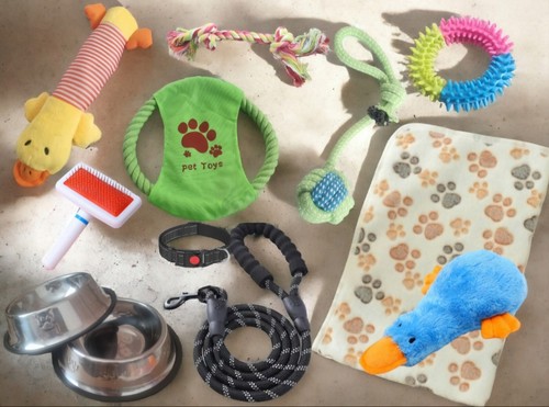 Puppy starter pack - puppy,