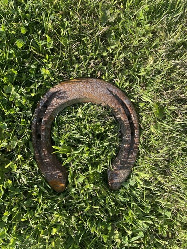 Steel rustic horse - rustic,