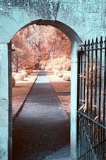 SONY a5000 FULL SPECTRUM/IR CONVERTED CAMERA BODY BLACK 44 SHUTTER COUNT  3267A