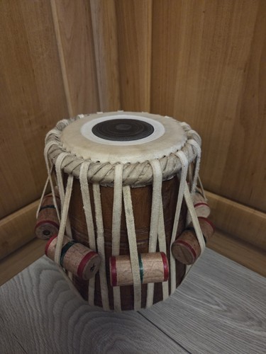 New vijaysaar concert - 6",