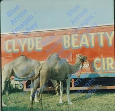 1959 120 Med Film Slide Clyde