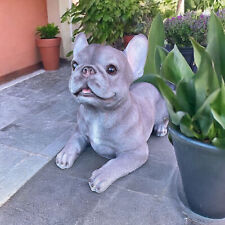 Grey Laying French Bulldog