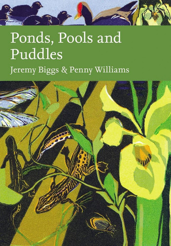 Ponds pools and puddles - puddles, by