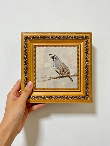 California quail branch - on,