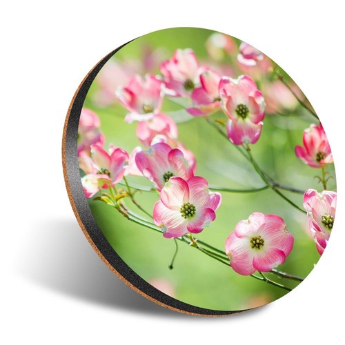 Round coaster 12cm - round,